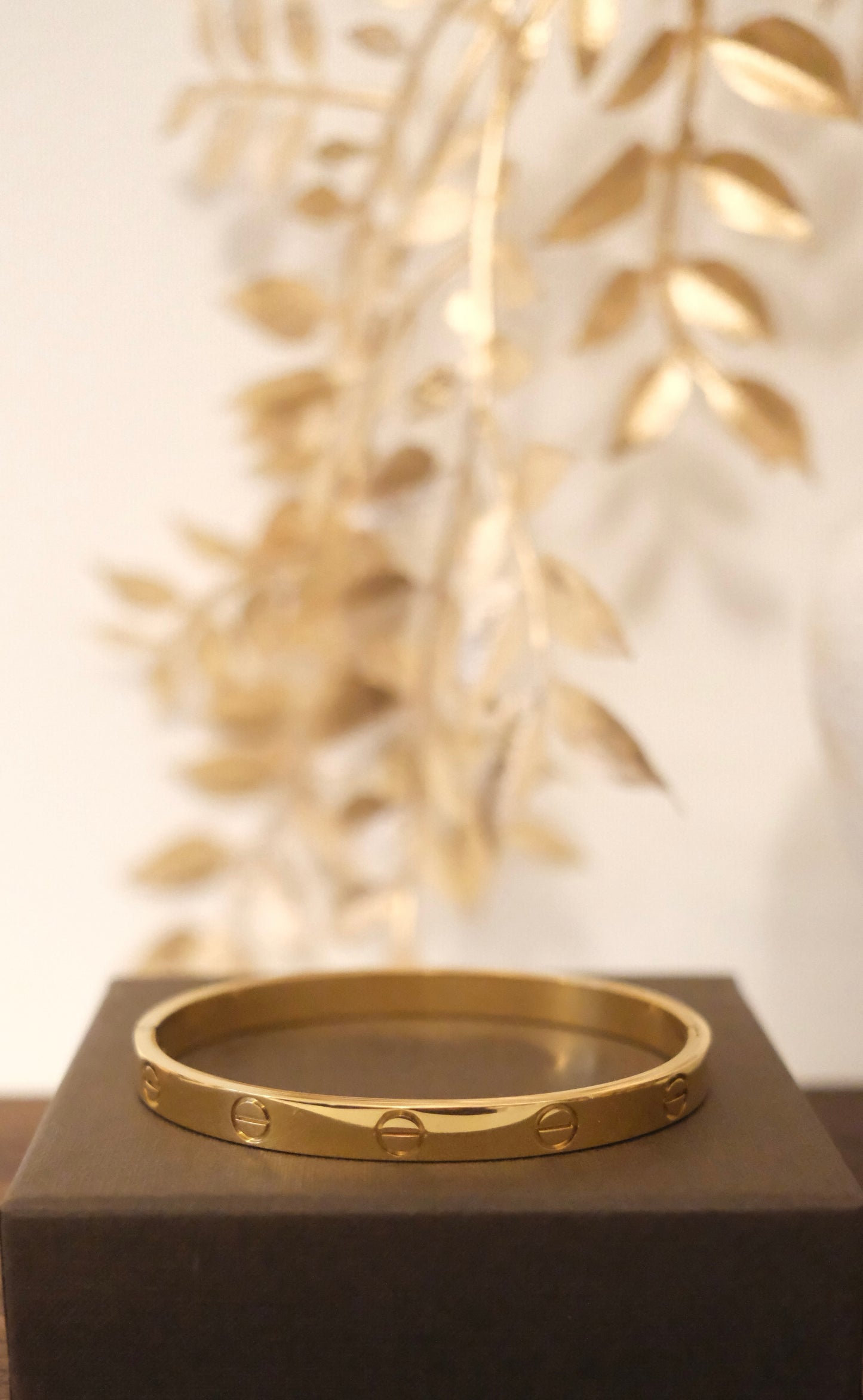 The Vyxen Bangle