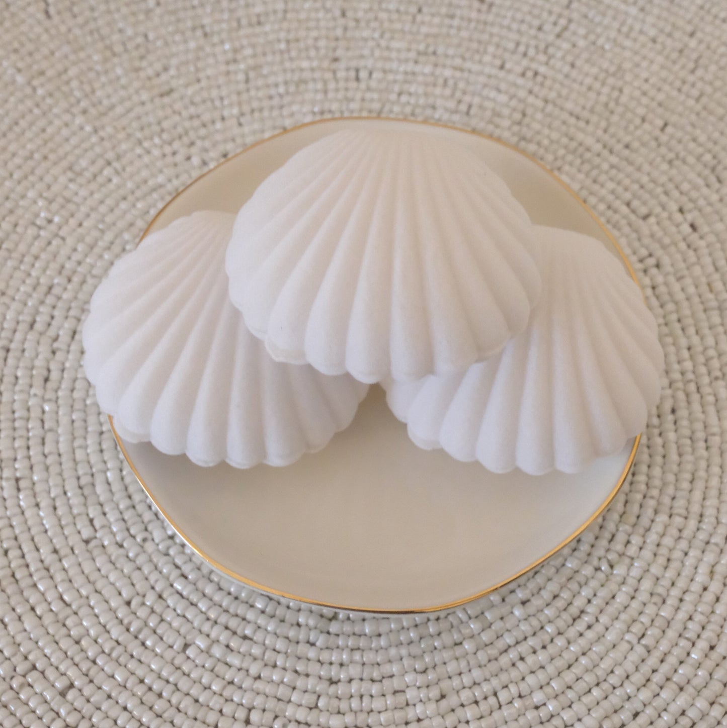 Seashell Secret