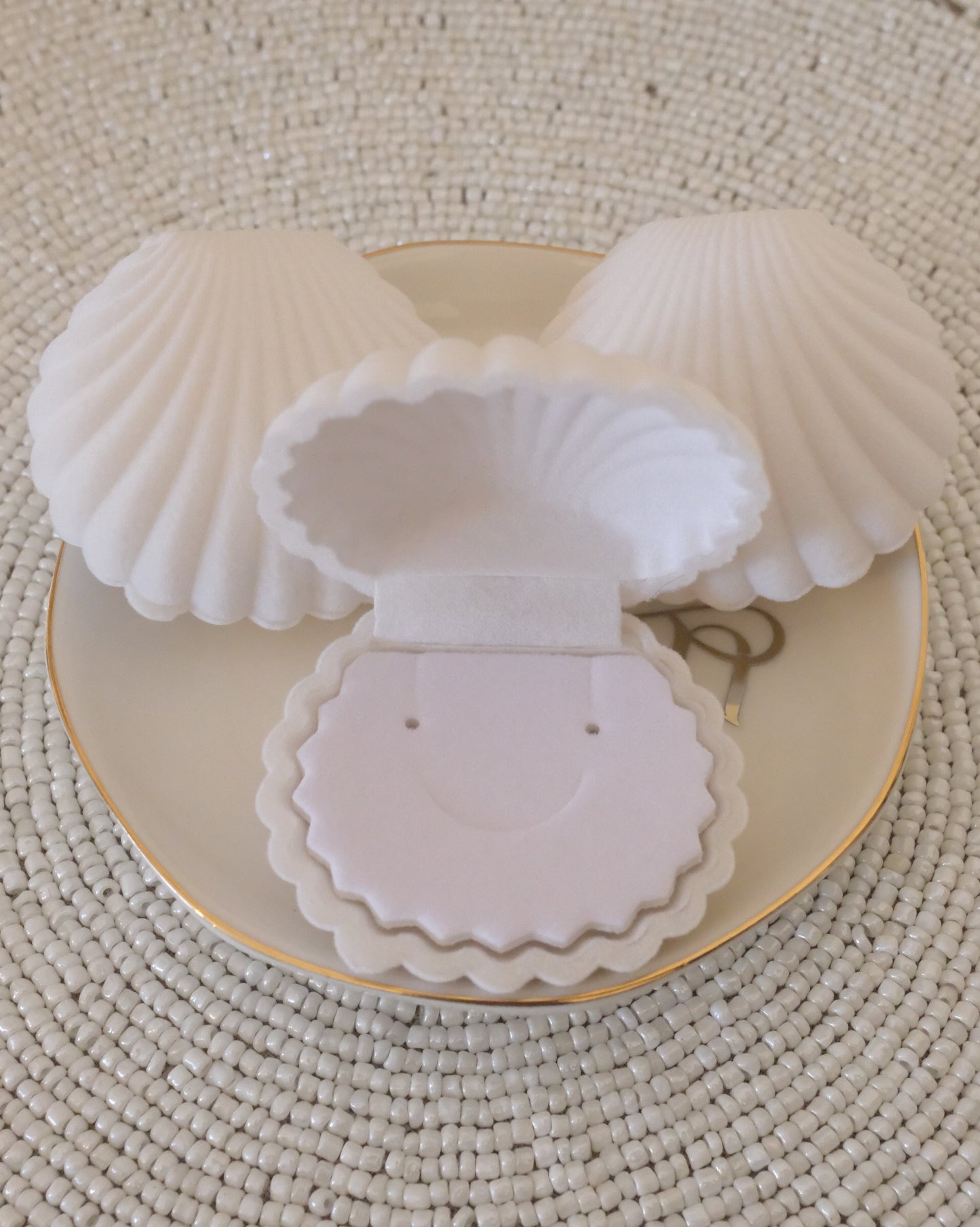 Seashell Secret