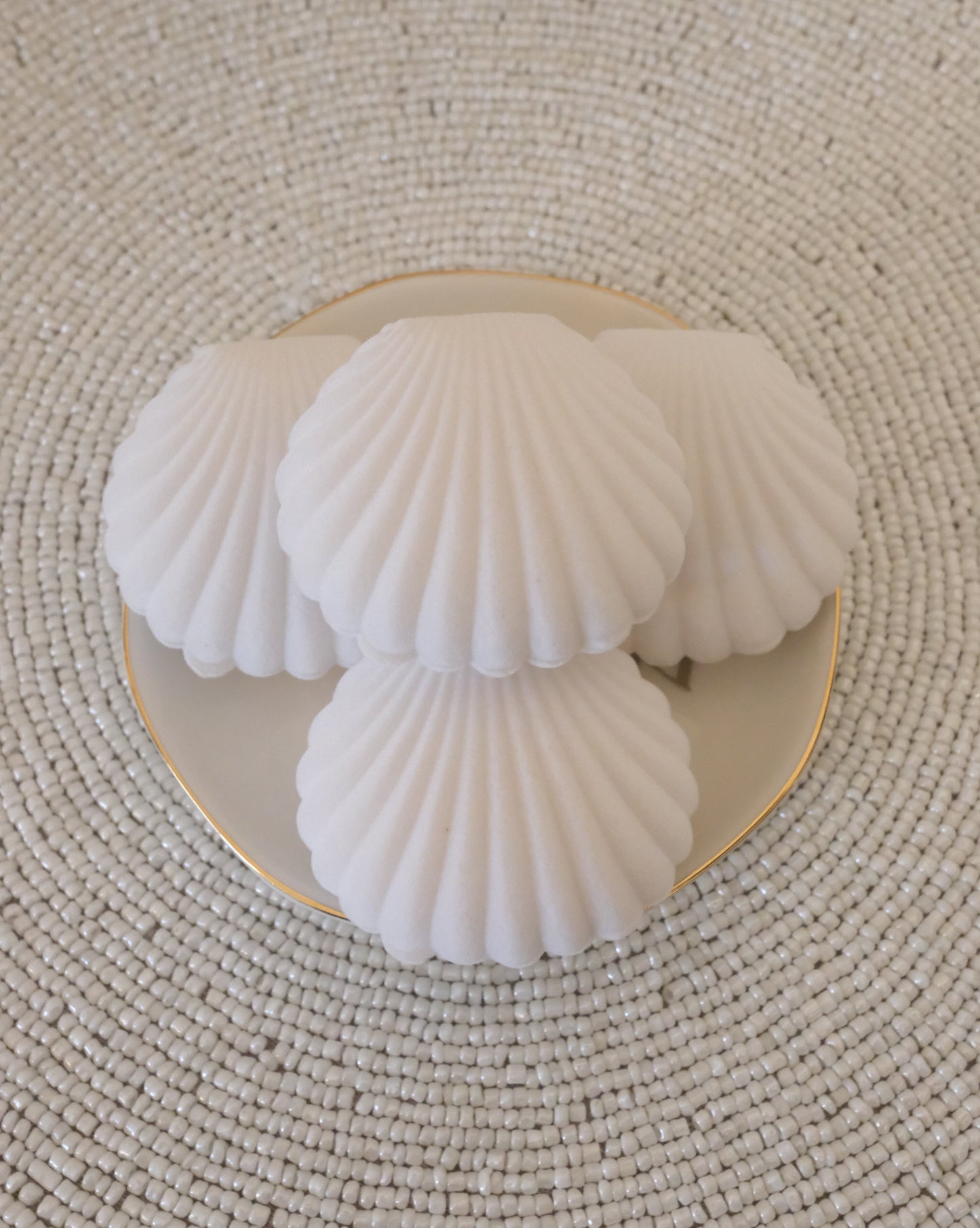 Seashell Secret