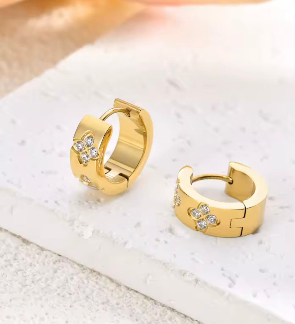 Loop Earrings