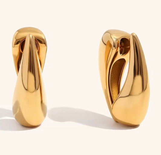 Bold Loop Earrings