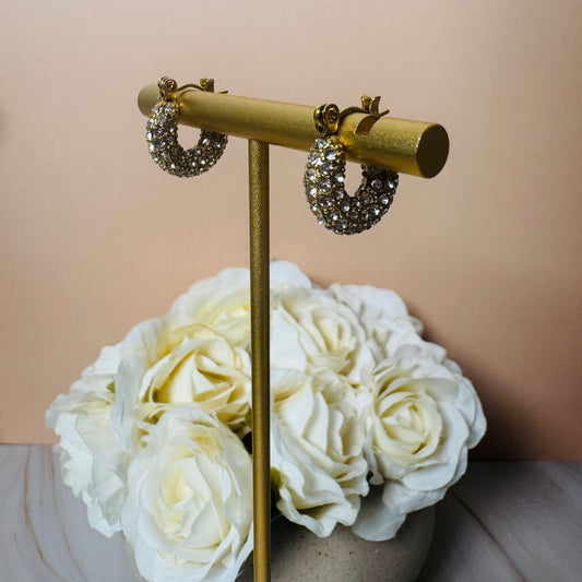 Hoop Loop Earrings