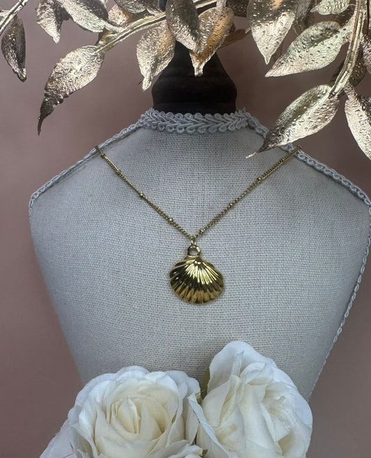 Seashell necklace