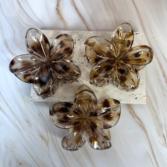 Clips foral