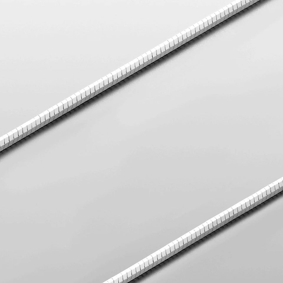 The Sleek Chain Necklace